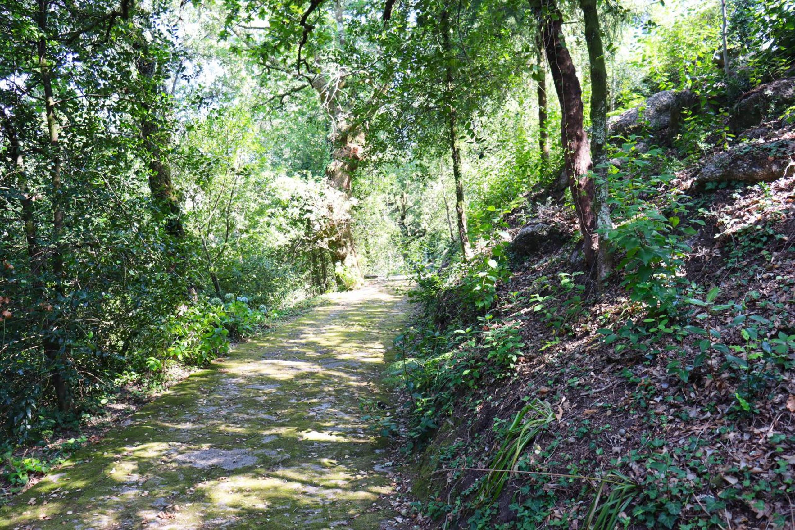 Photo 49