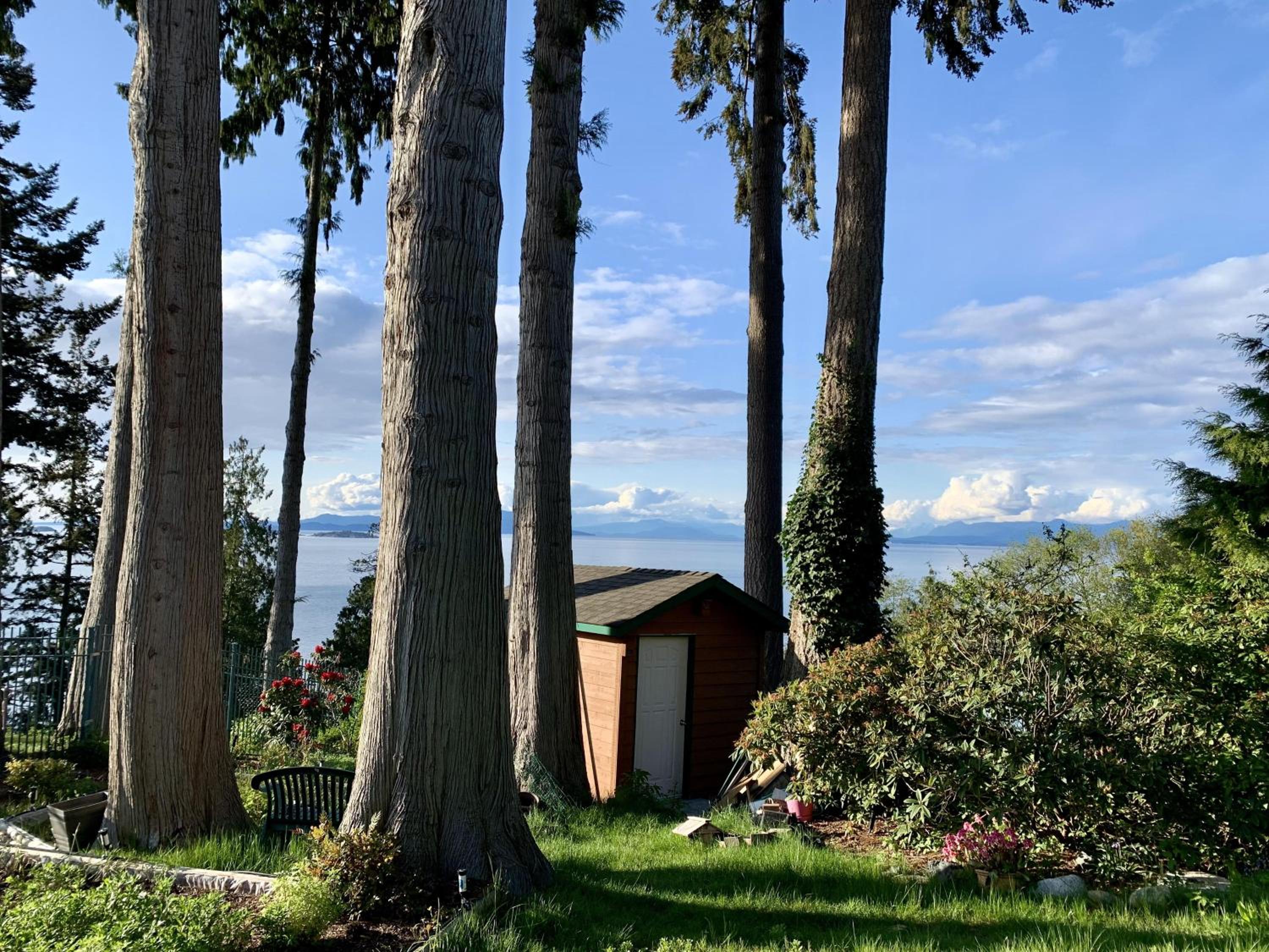 Waterfront Eagle Nest
