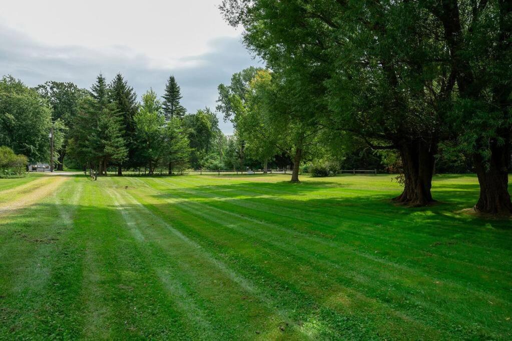 Vista Michigana