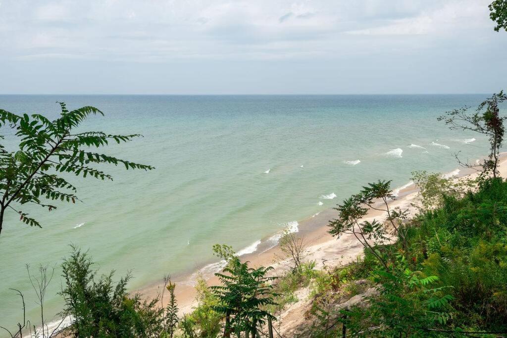Vista Michigana