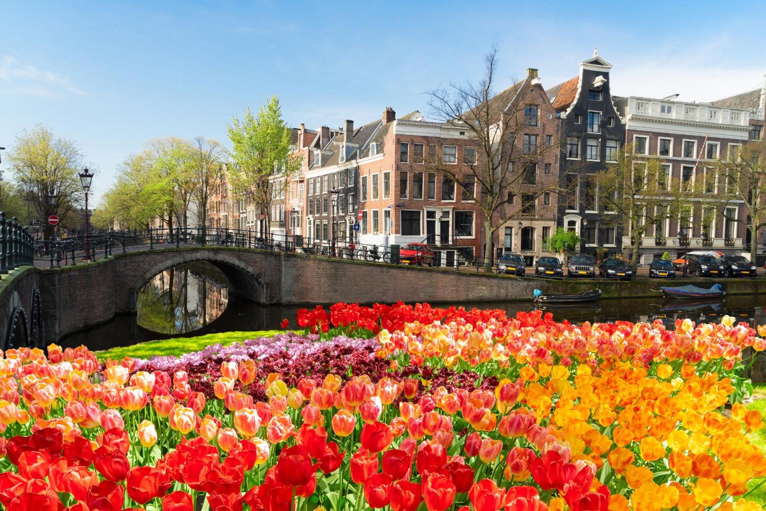 Luxury House With 2 Private Independent Studios 120 m2 Near LEIDSEPLEIN CITY CENTRE AMSTERDAM - Paid Parking Possibilities Nearby
