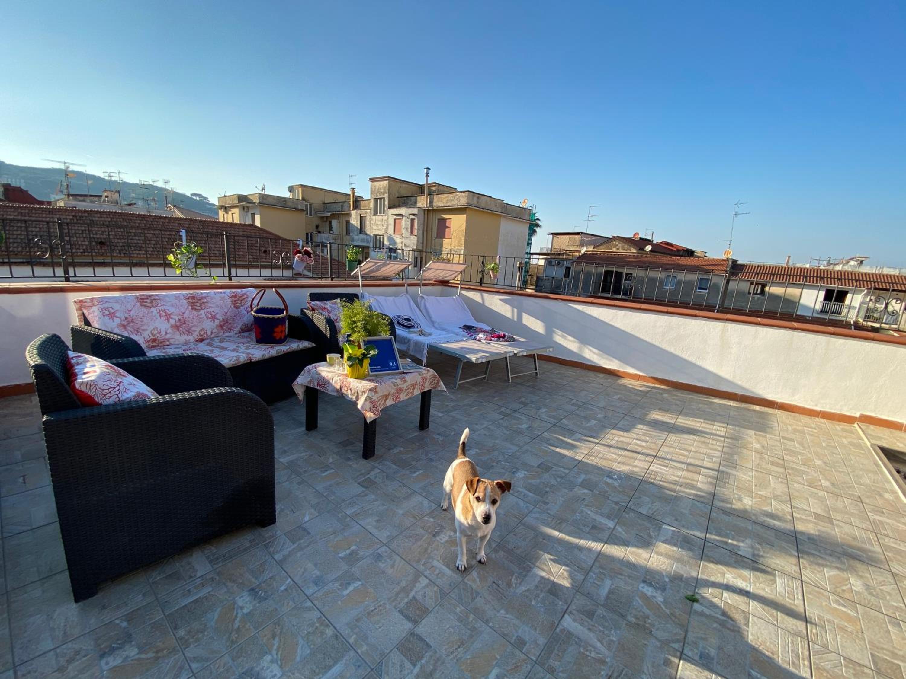 roof