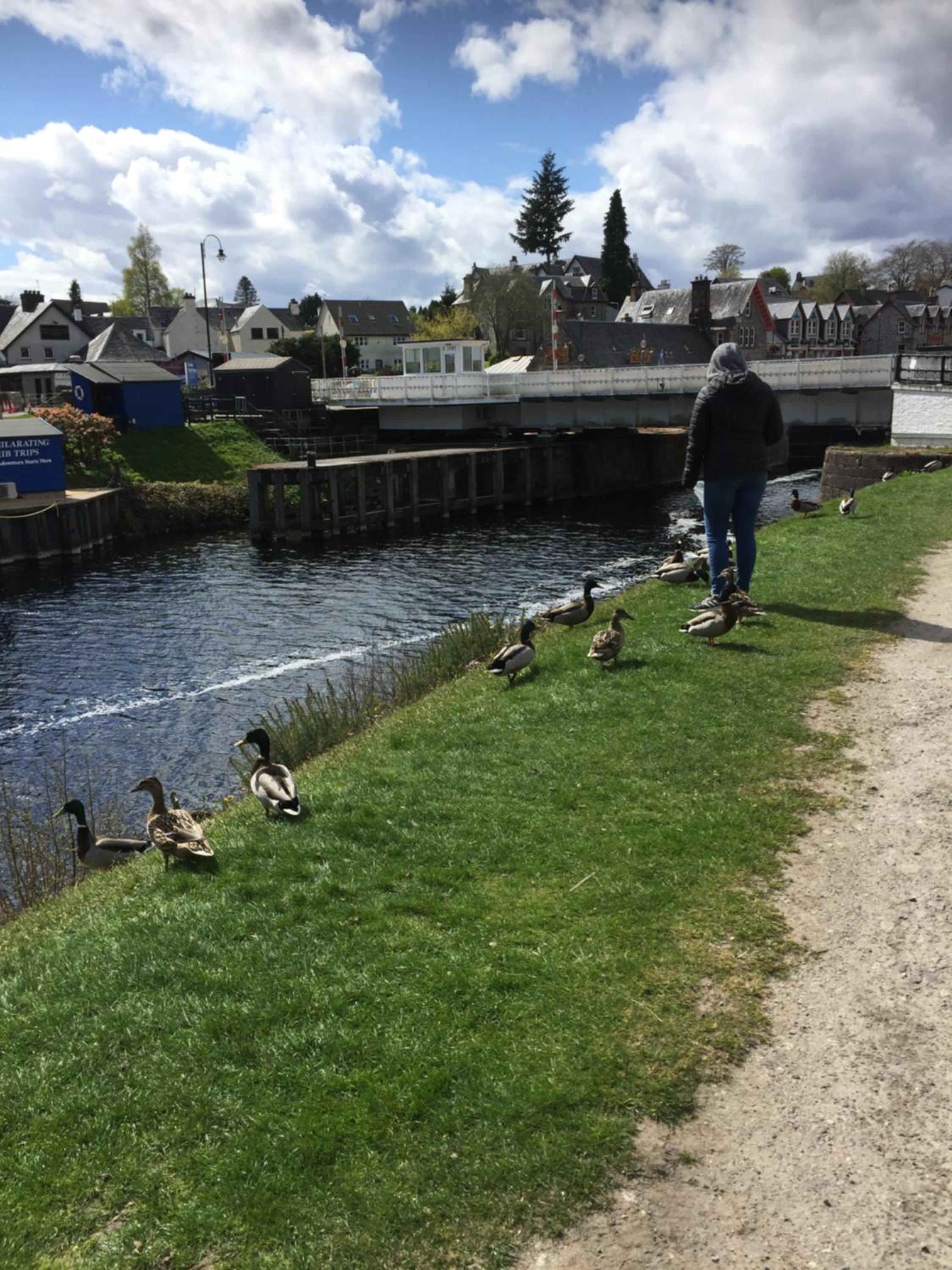 Photo 21