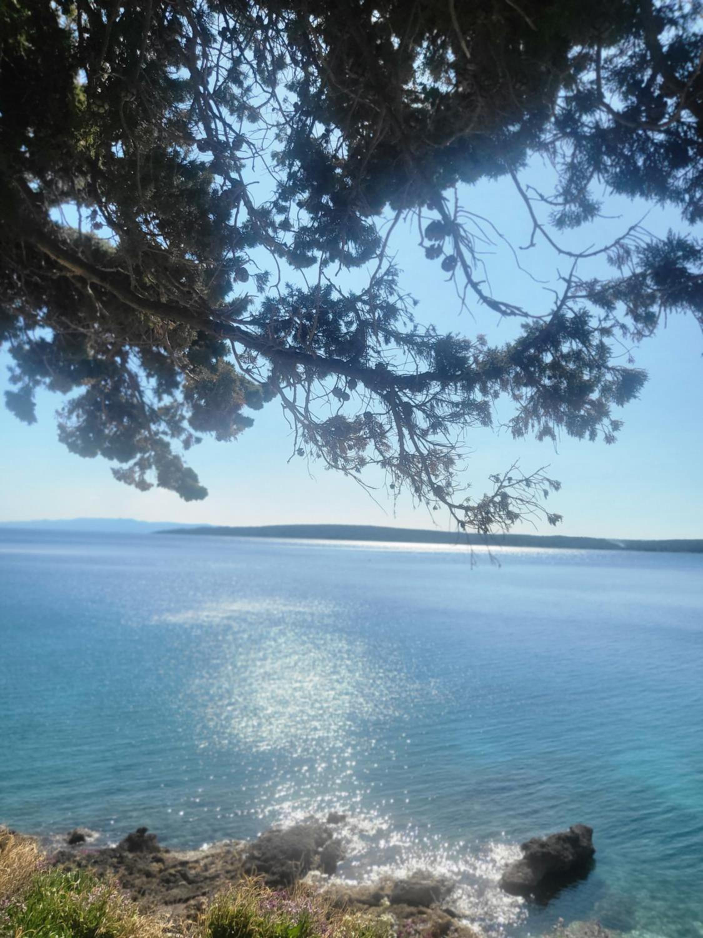 Plava Laguna