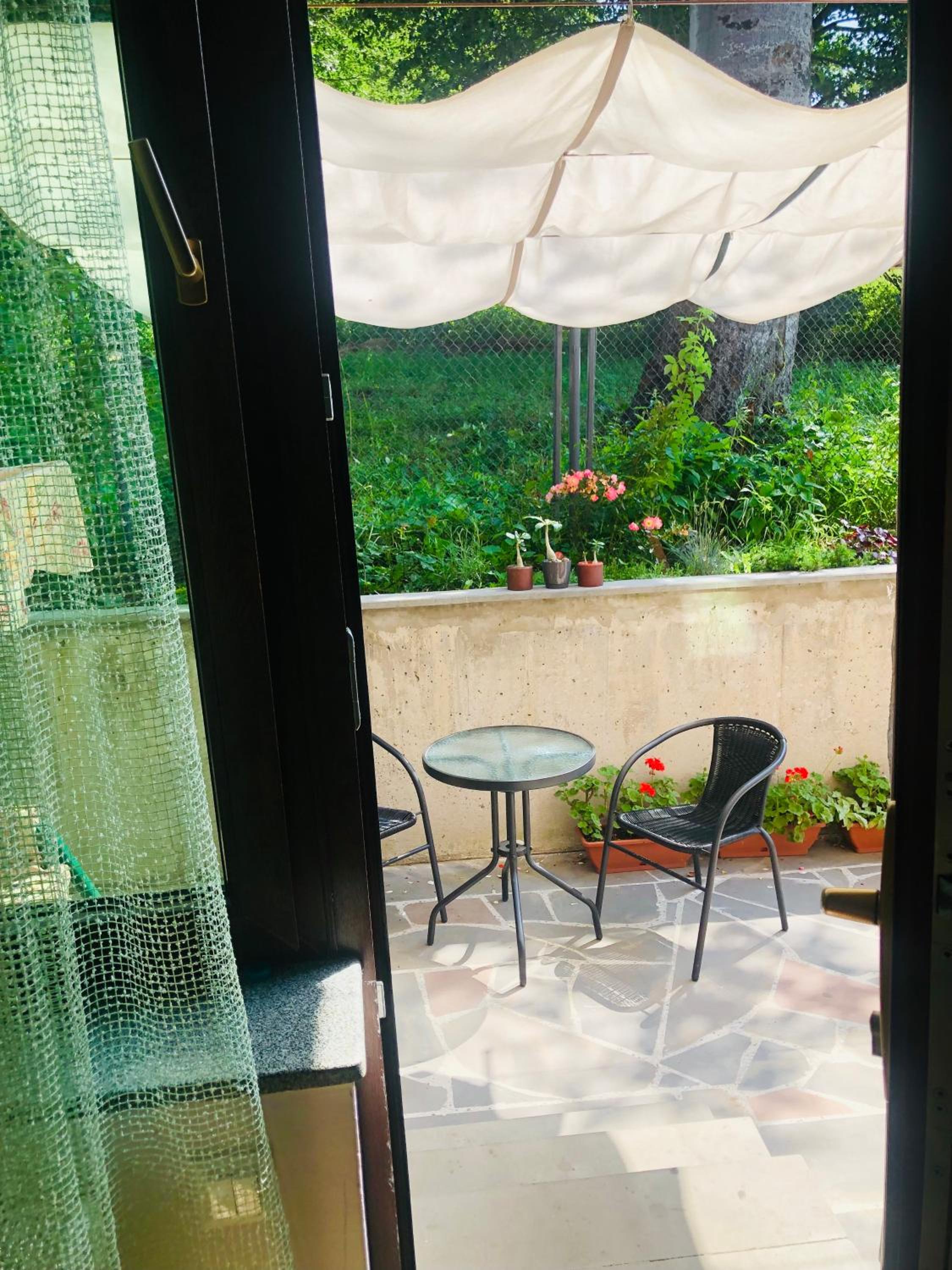 Photo 25