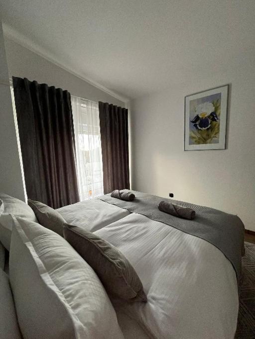 Apartman Orchid