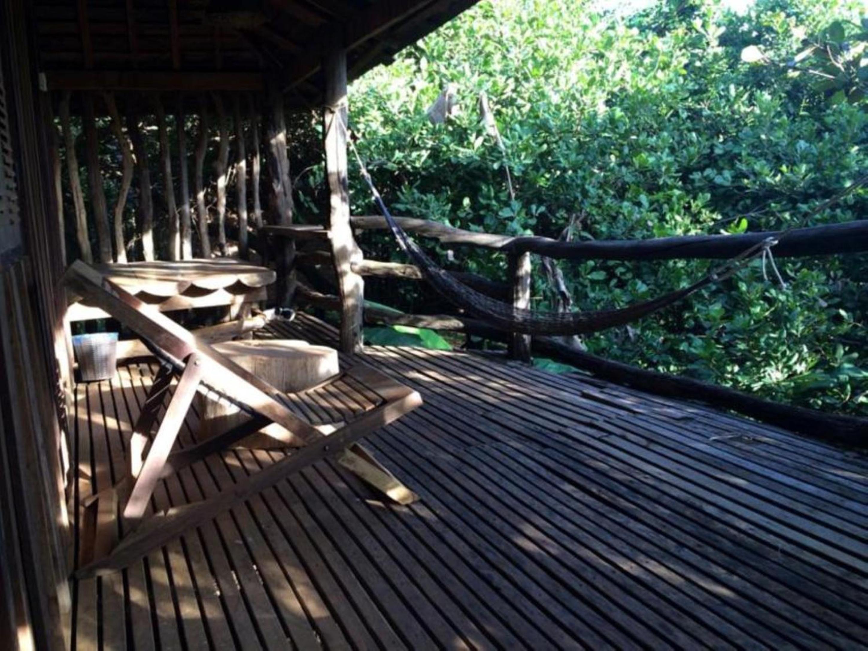 Tree Top Eco-Lodge view 4