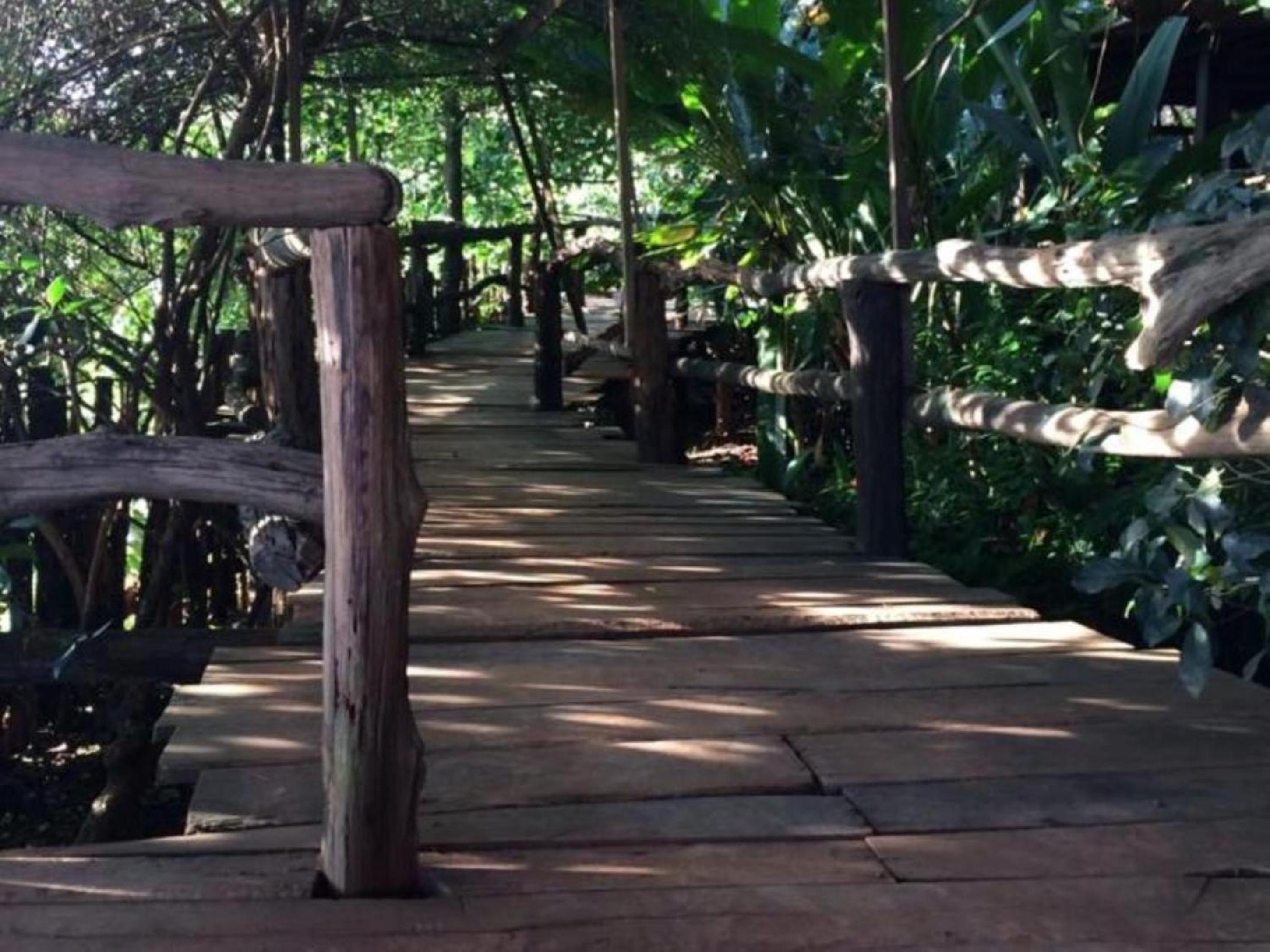 Tree Top Eco-Lodge view 2