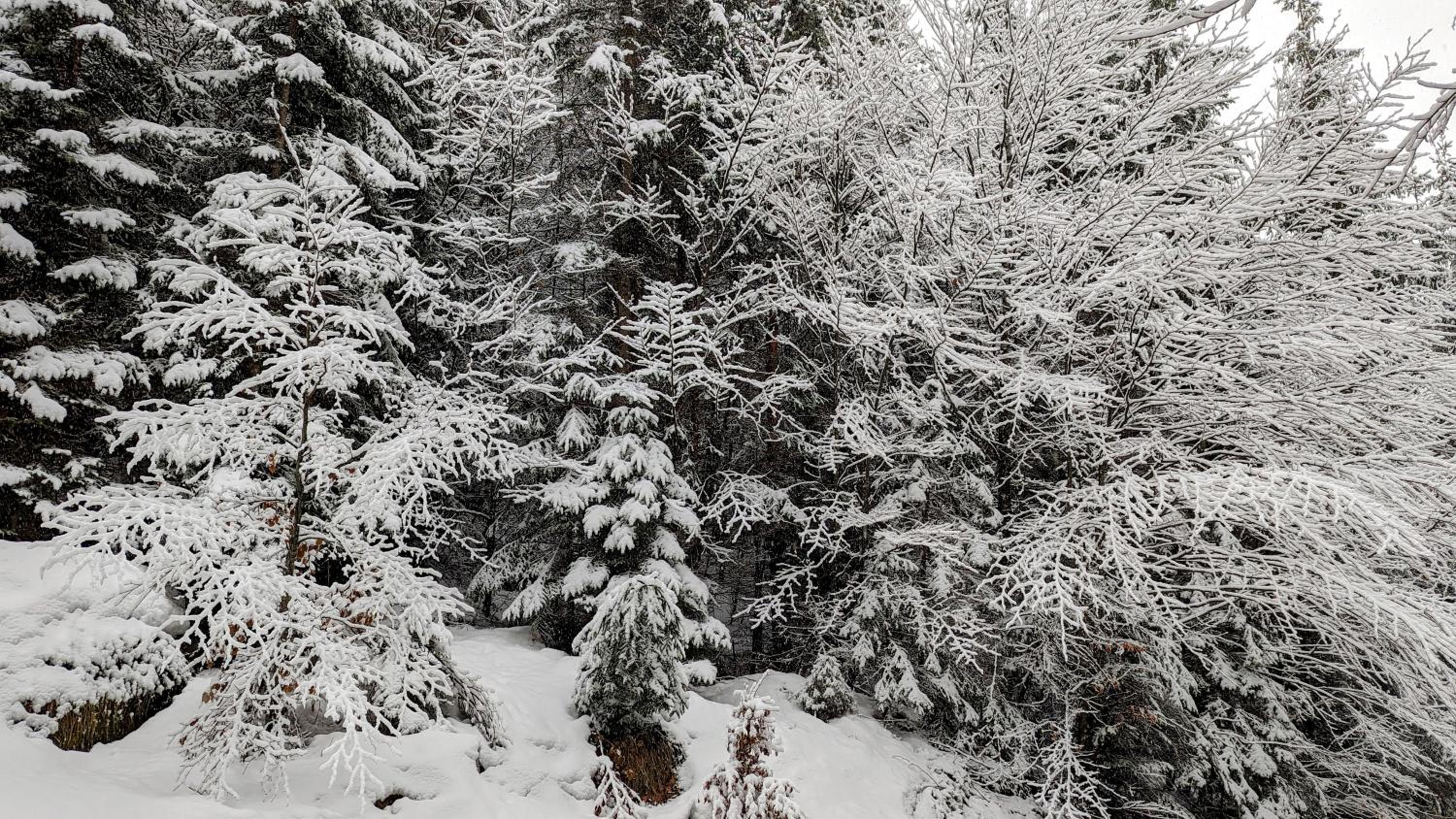 Luxury Eco-Chalet Pino Achensee - hike, bike, ski for 6 or more