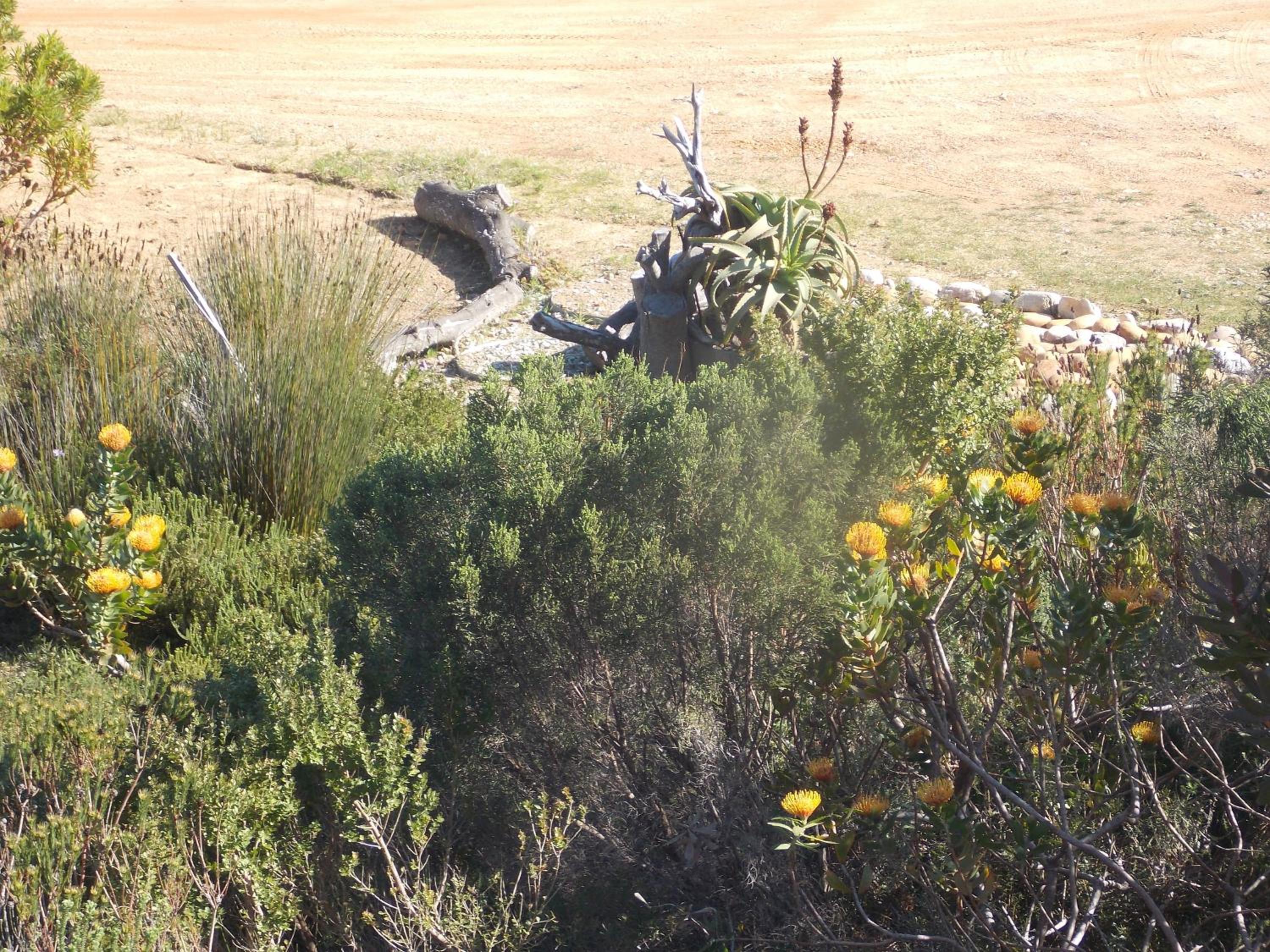 Photo 23