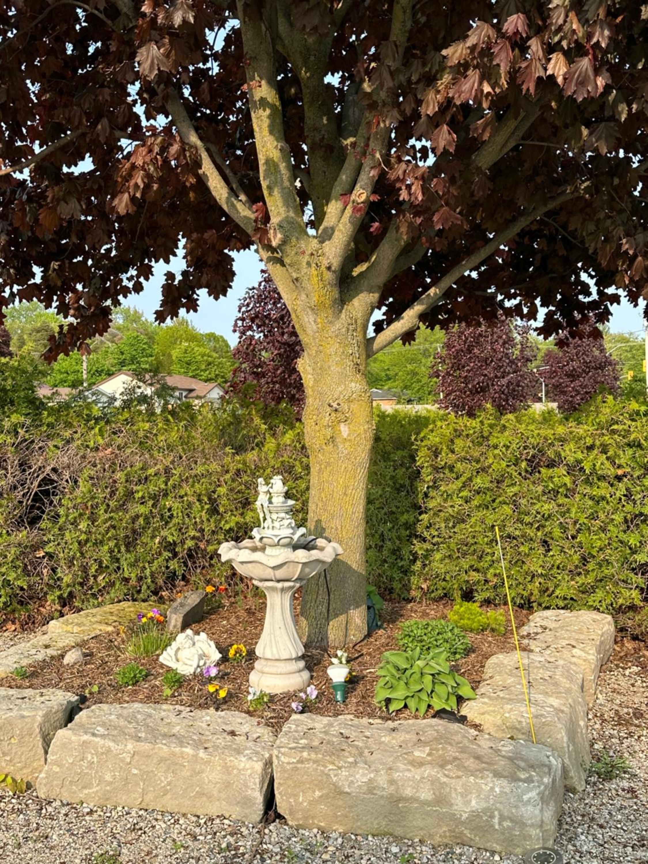 MonJardin Bed and Breakfast