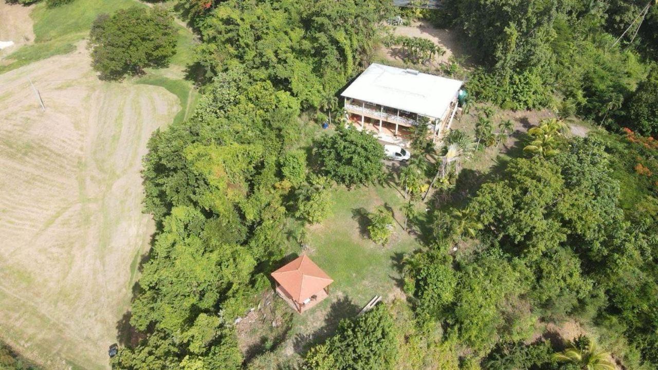 Photo 8
