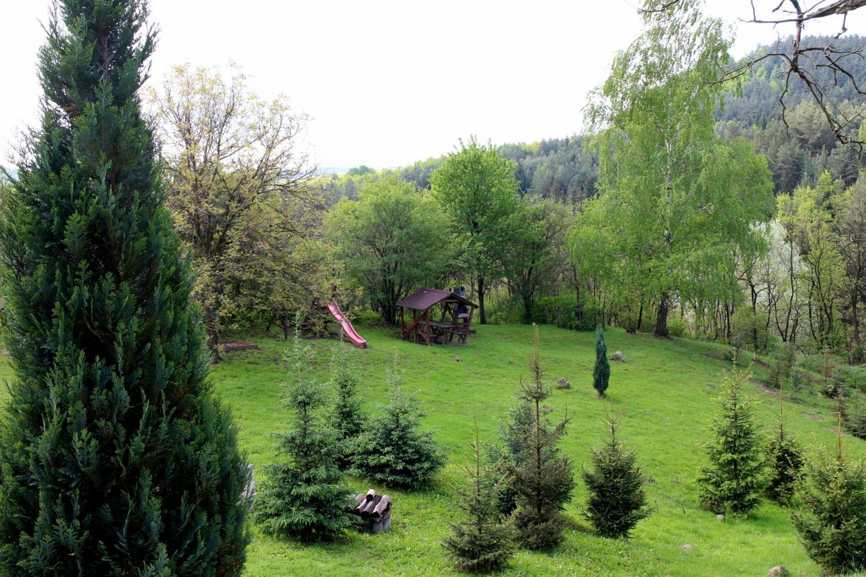 Photo 19