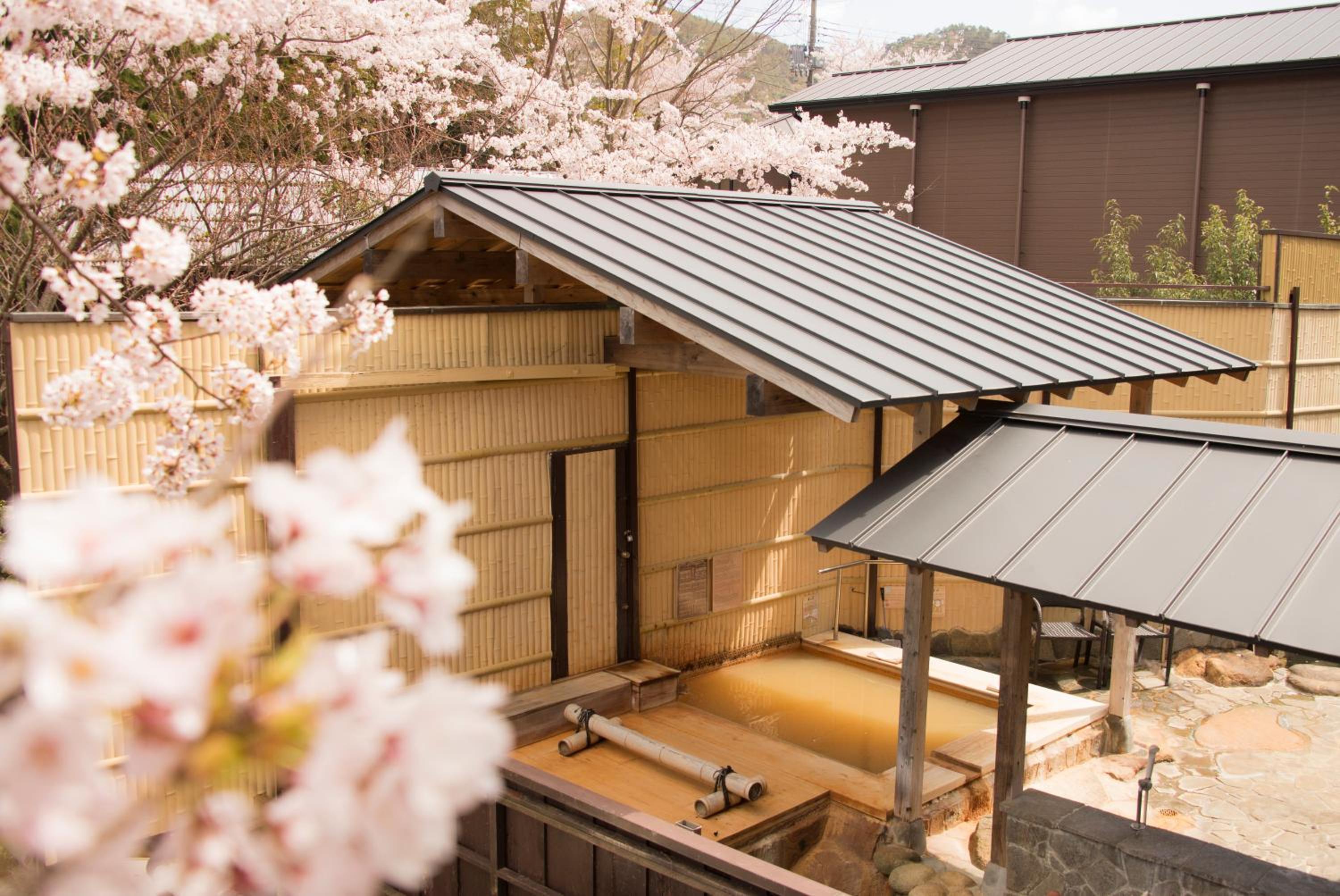 Arima Onsen Motoyu Ryuusenkaku