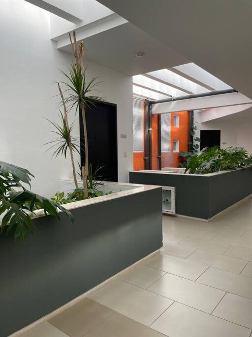 lobby & reception