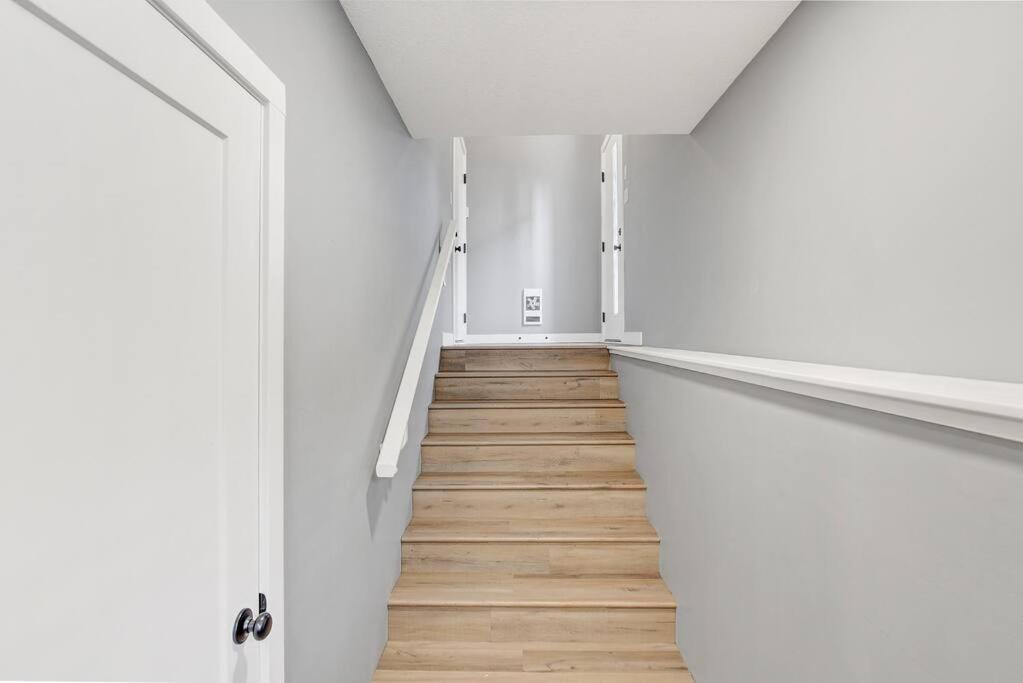 Brand New Modern Escape