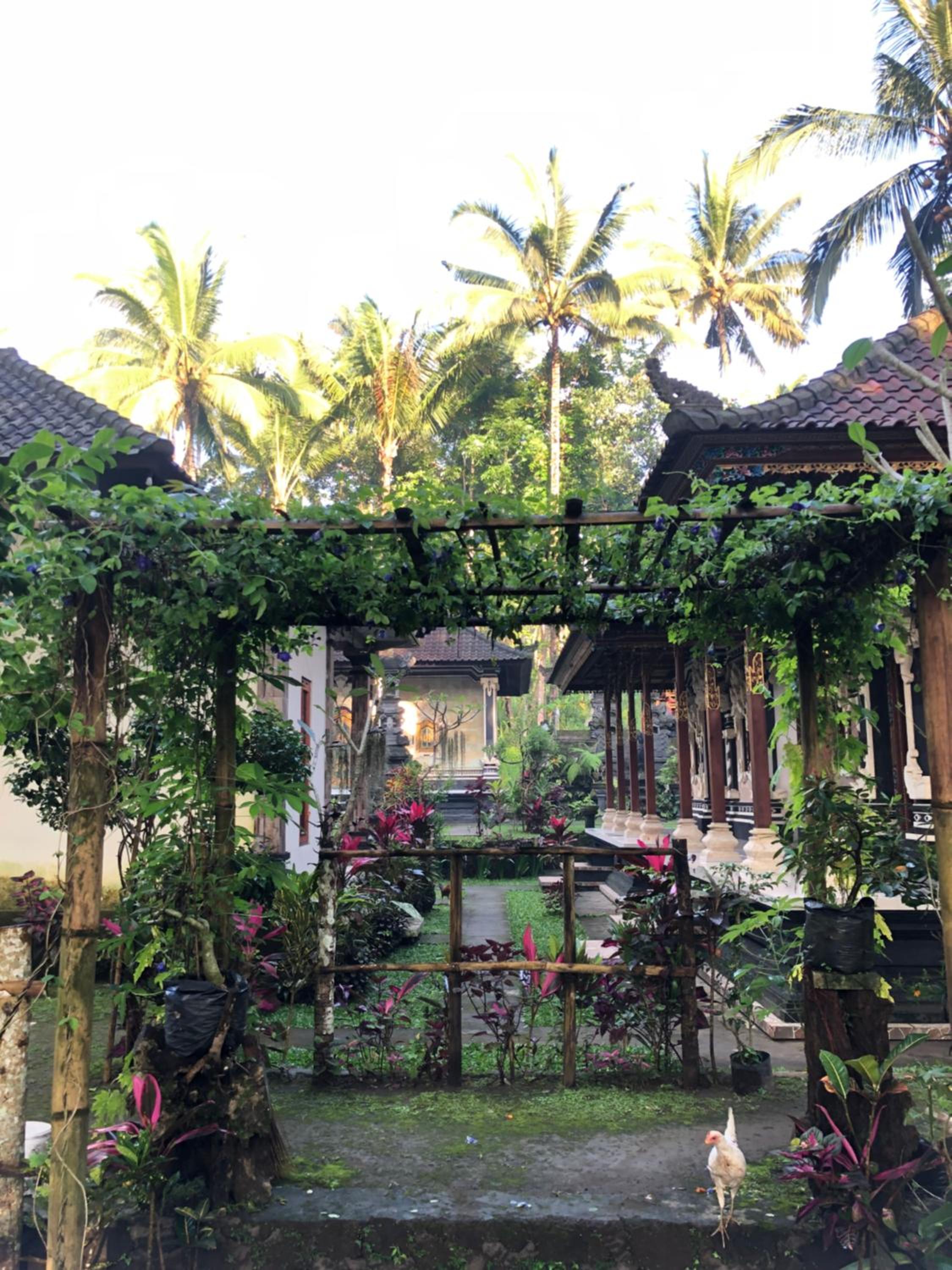 BELIMBING HOMESTAY