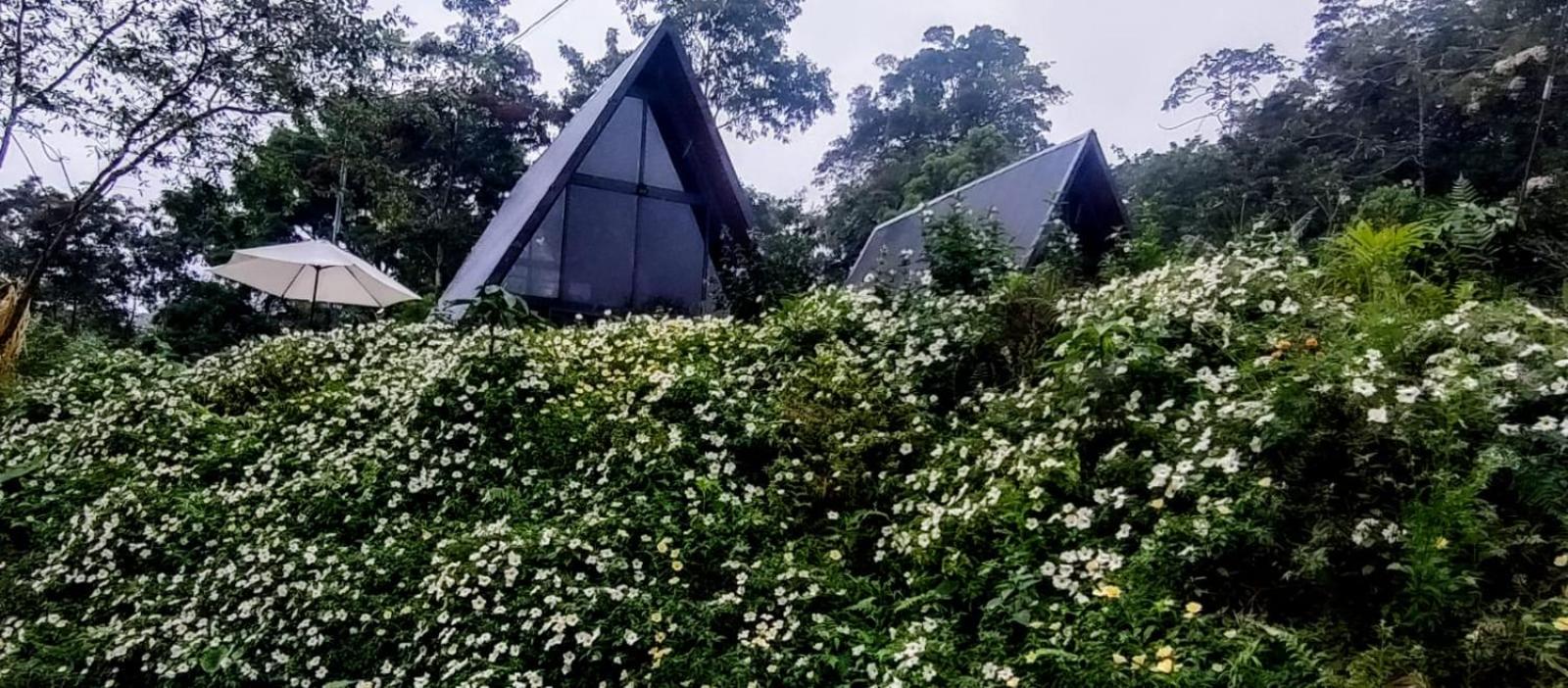 Yarumo Lodge, Río Celeste Black Chalets