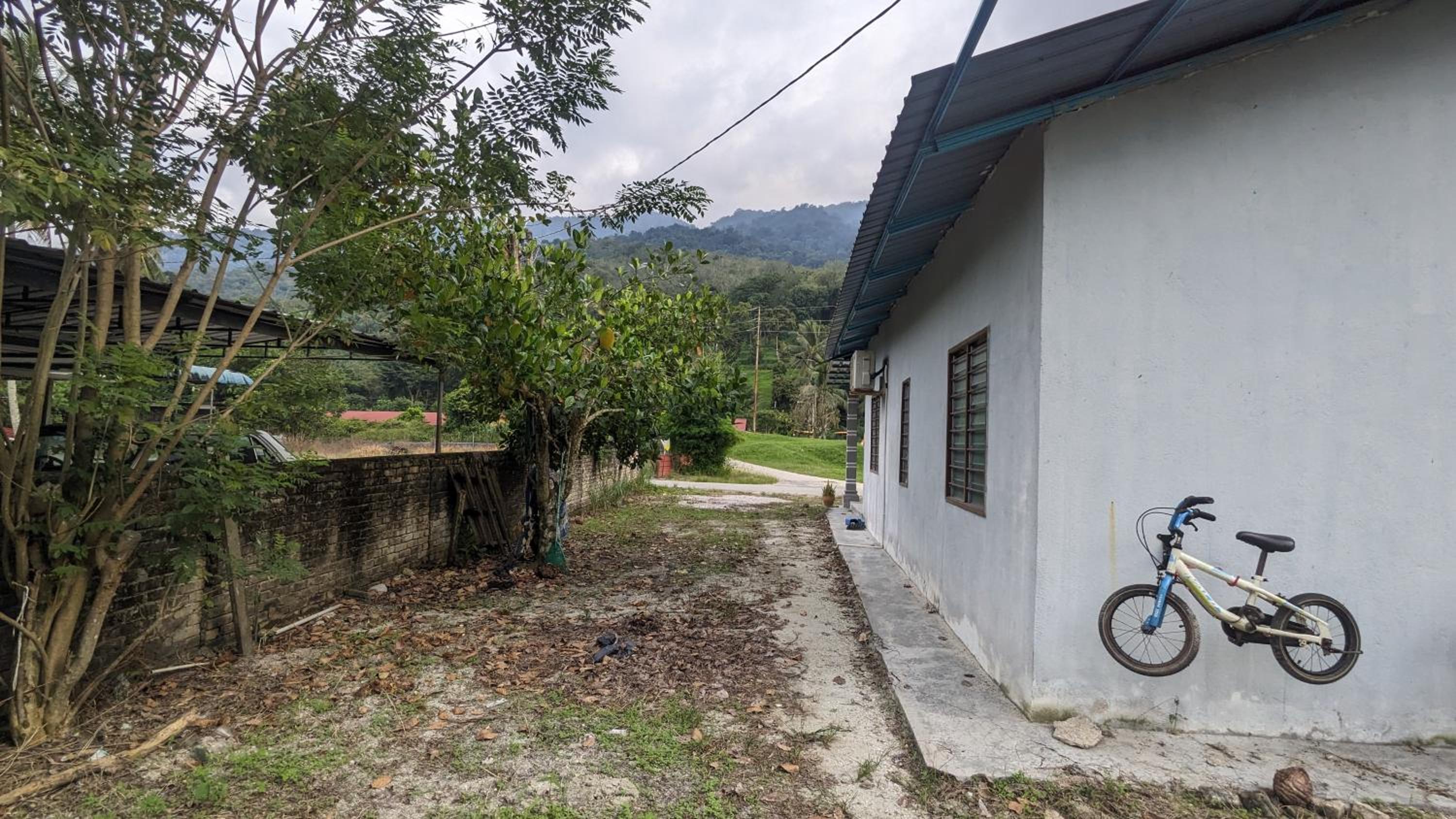Homestay Dipang