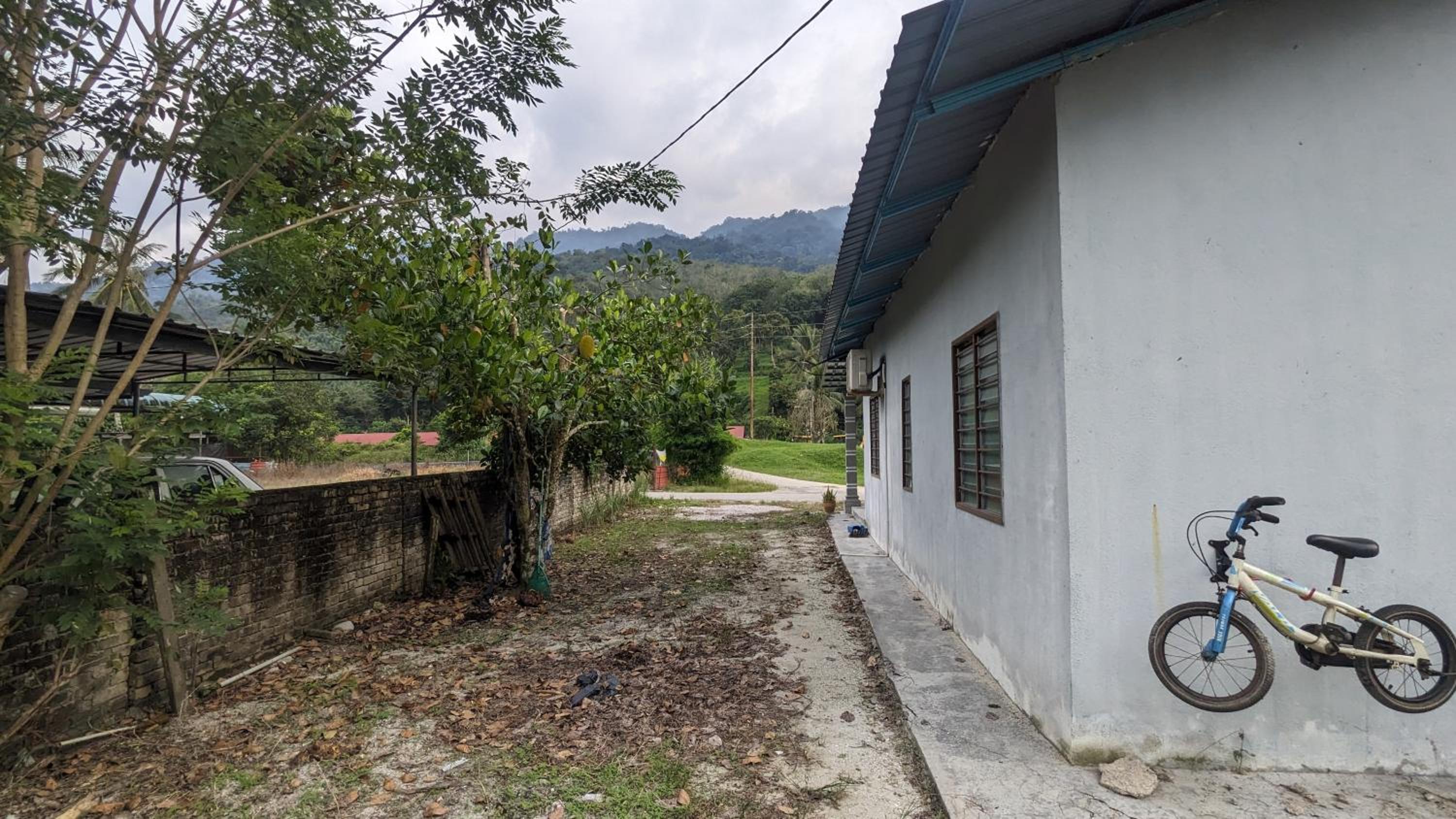 Homestay Dipang