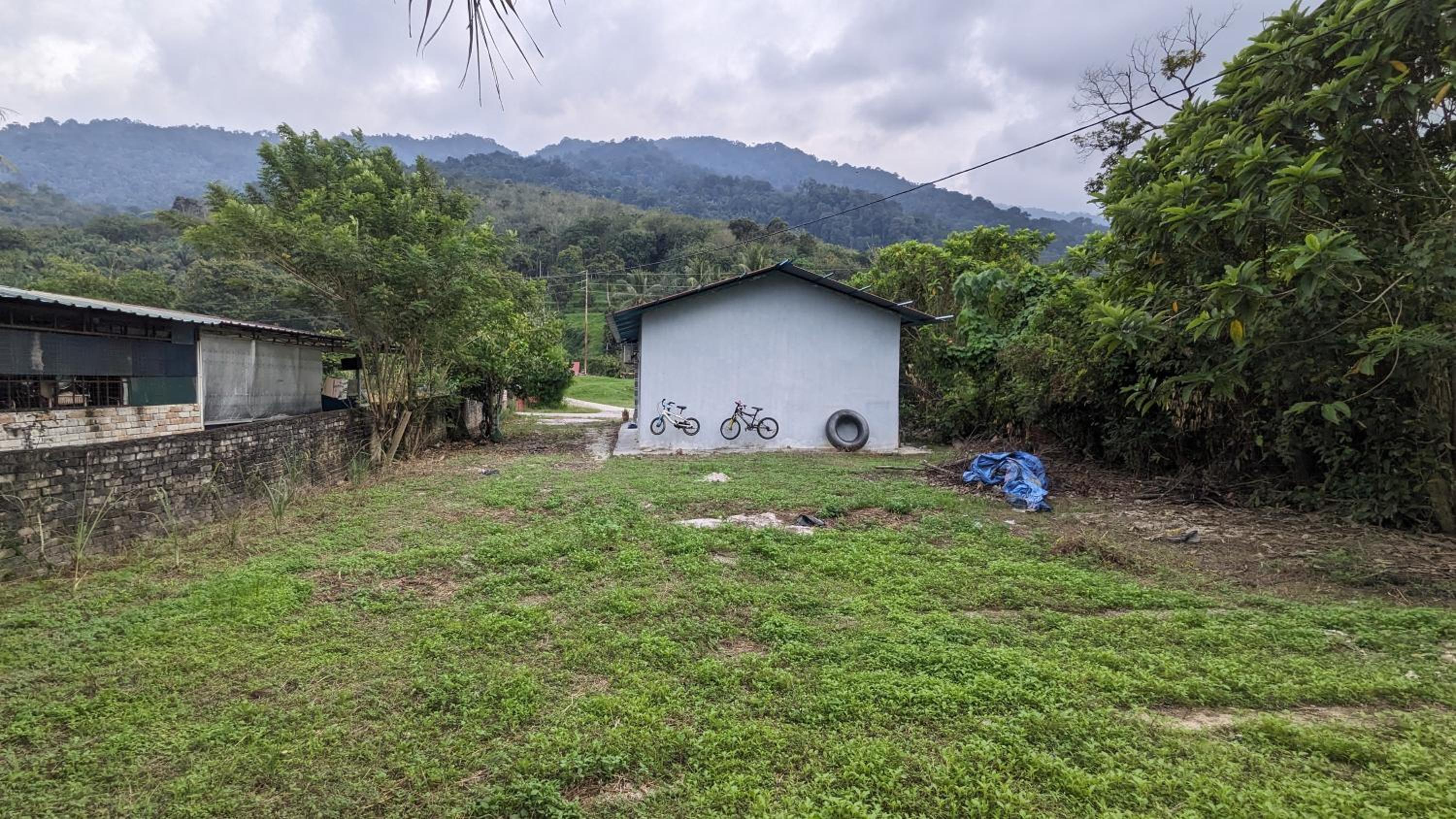 Homestay Dipang