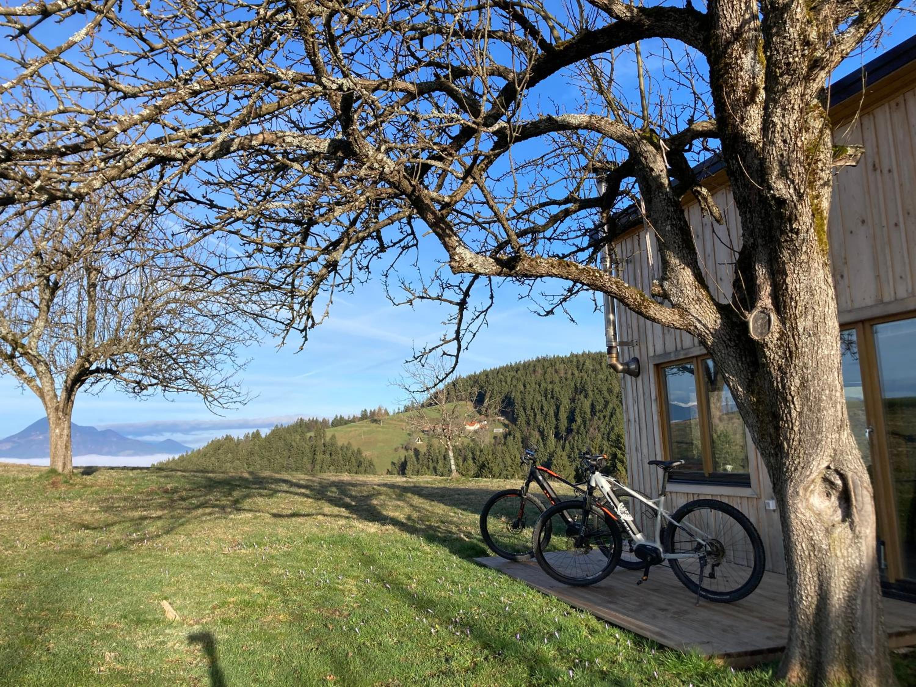 Tiny house view 3