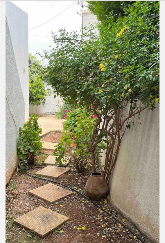 Photo 21