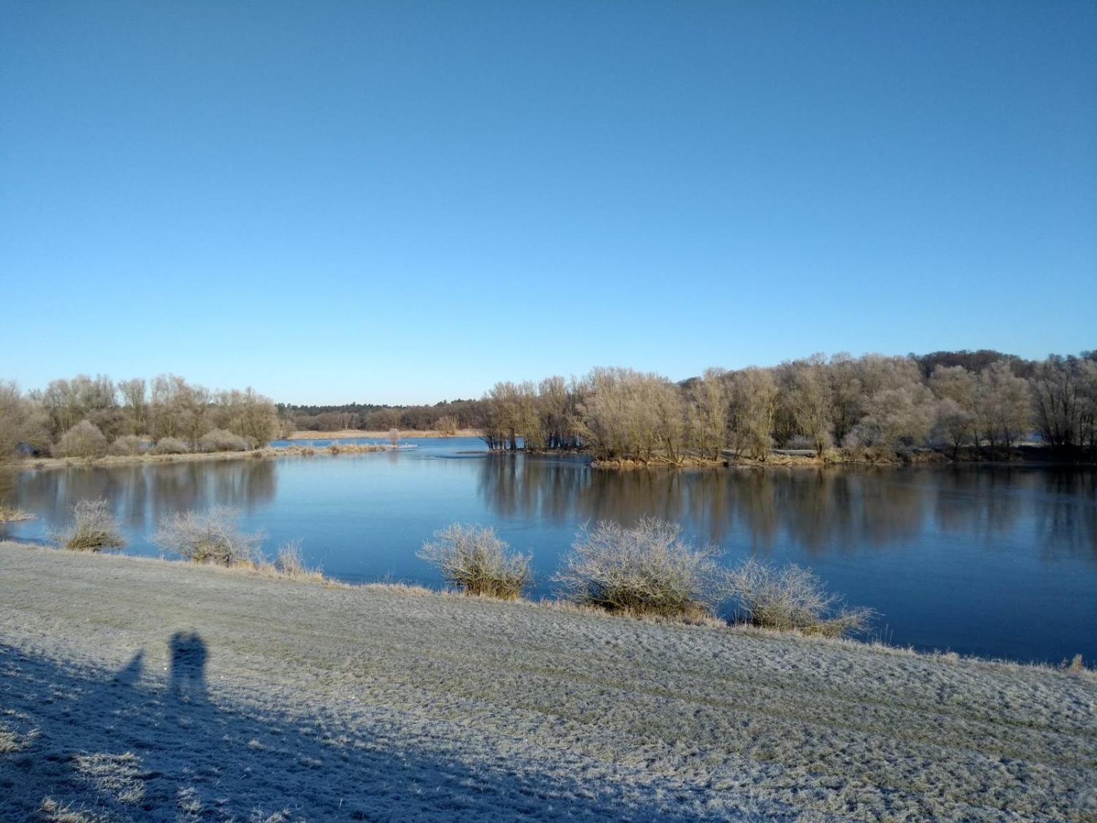 Krötenhof Barförde