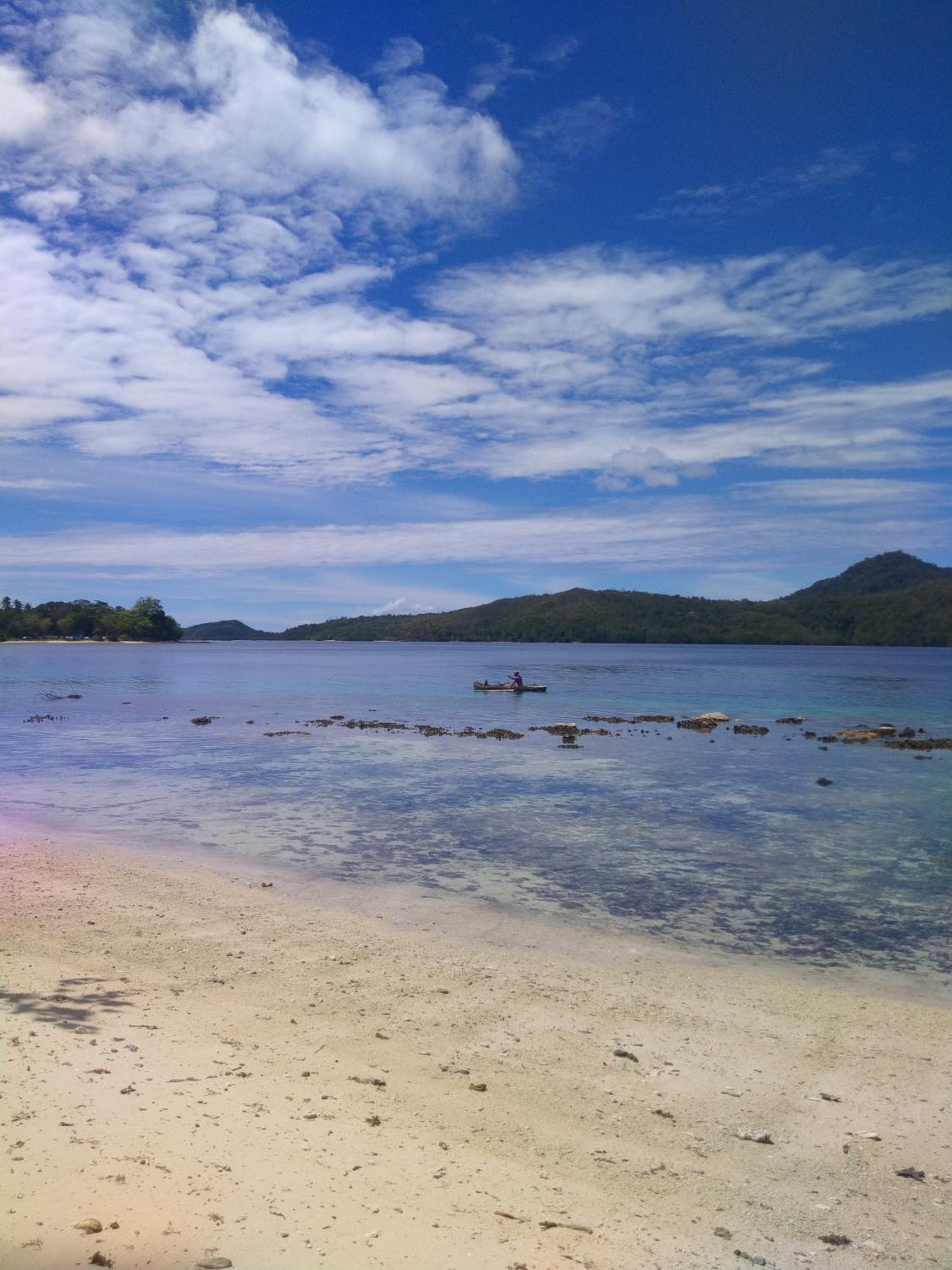 Sea Whip Homestay