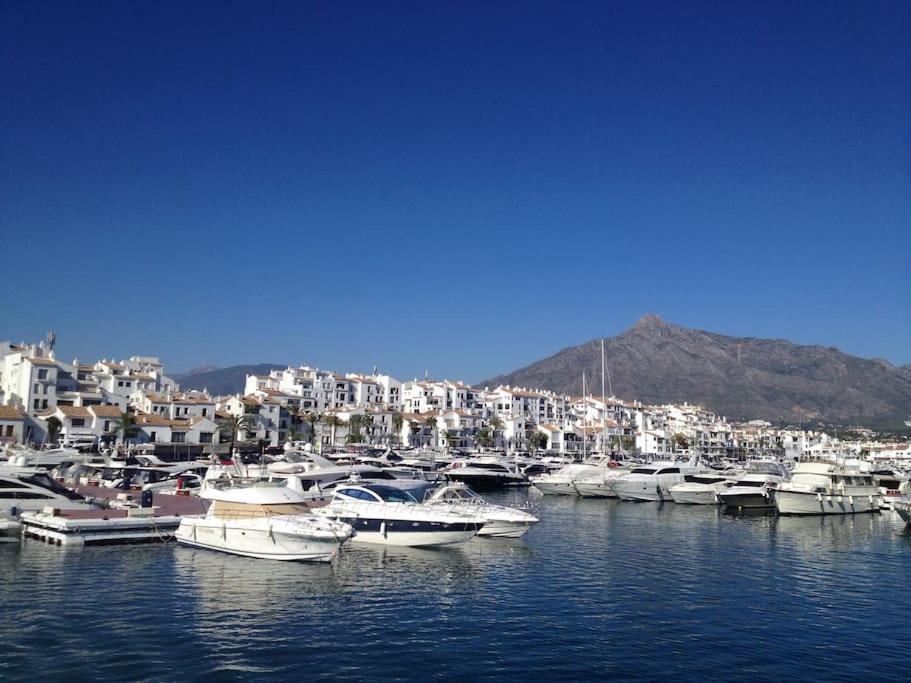banus elegant modern studio