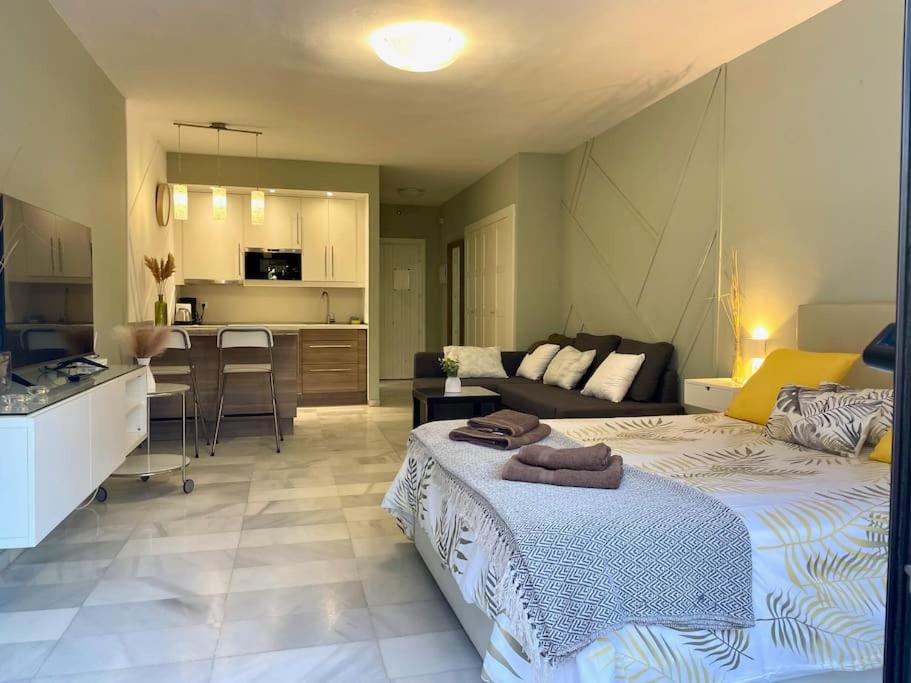 banus elegant modern studio