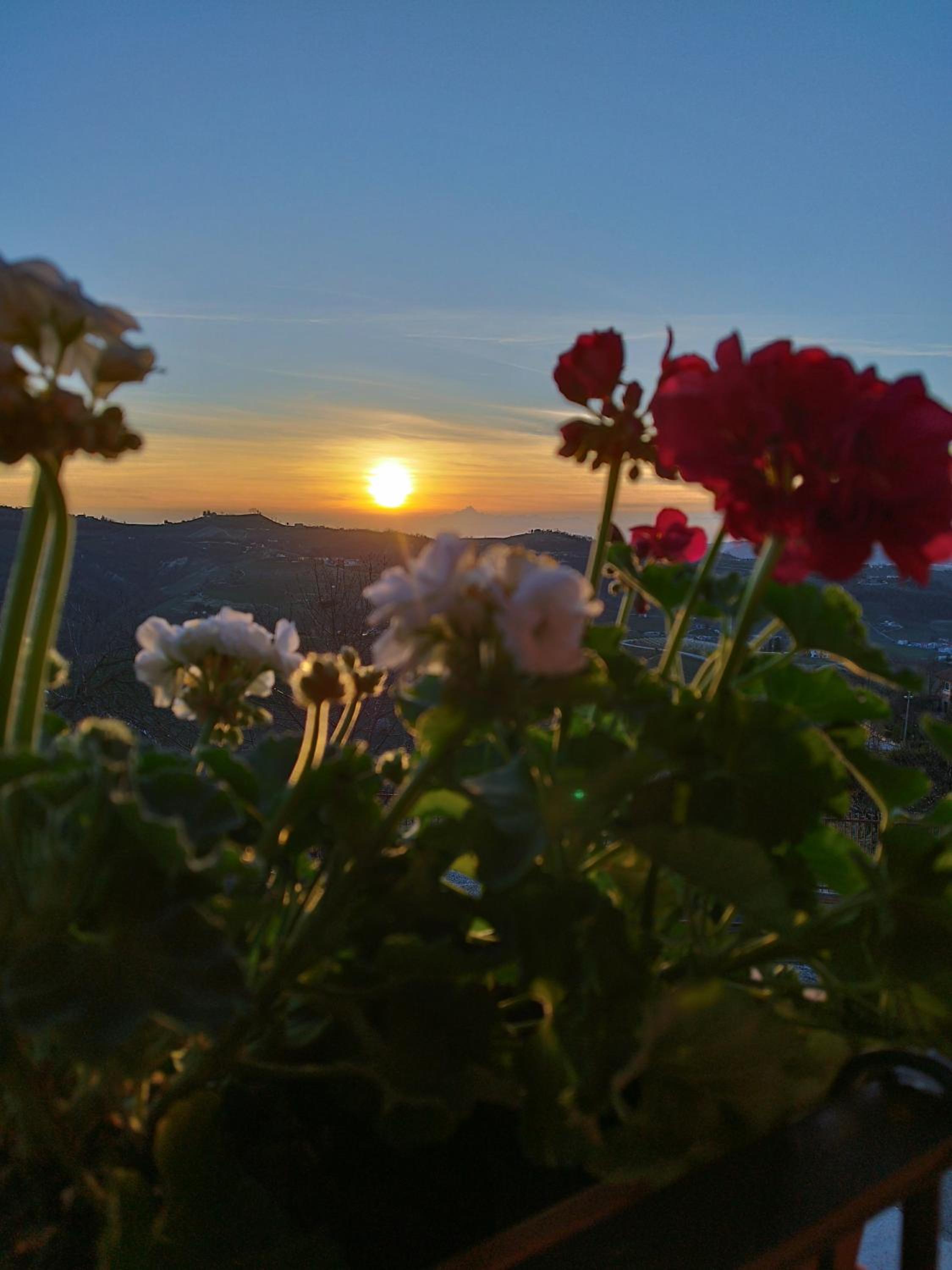 Casa Rubbo - Appartamento in collina 'Monviso'