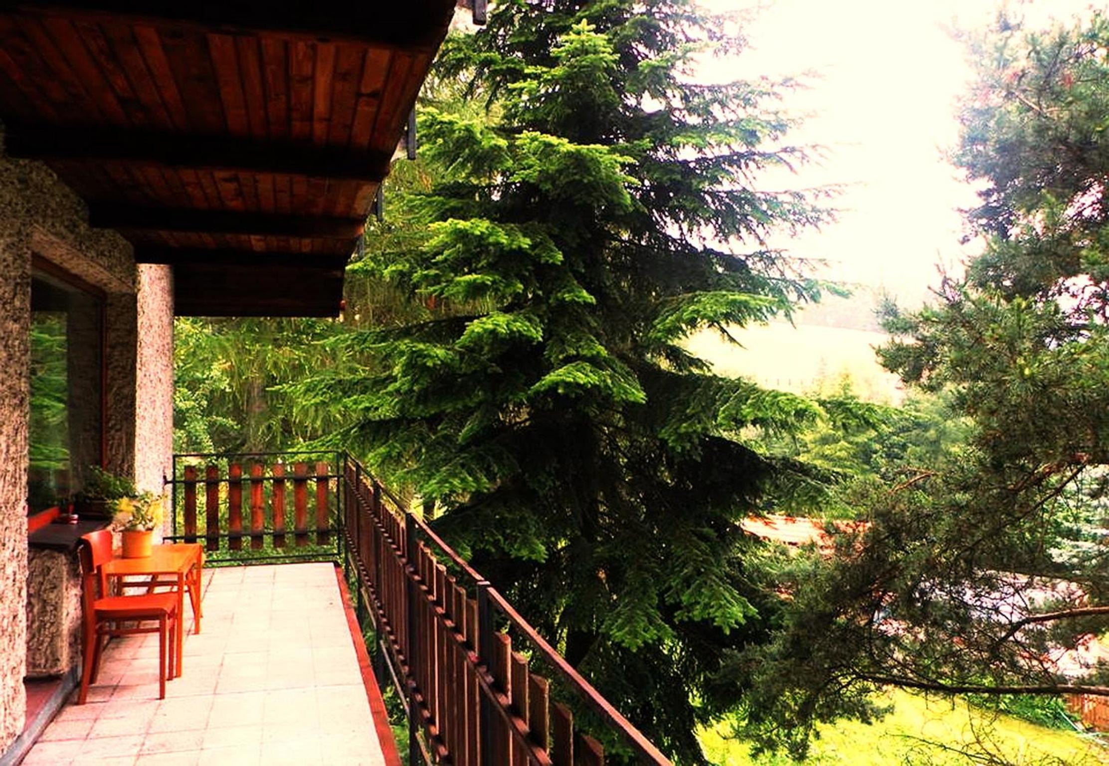 Penzion Bor