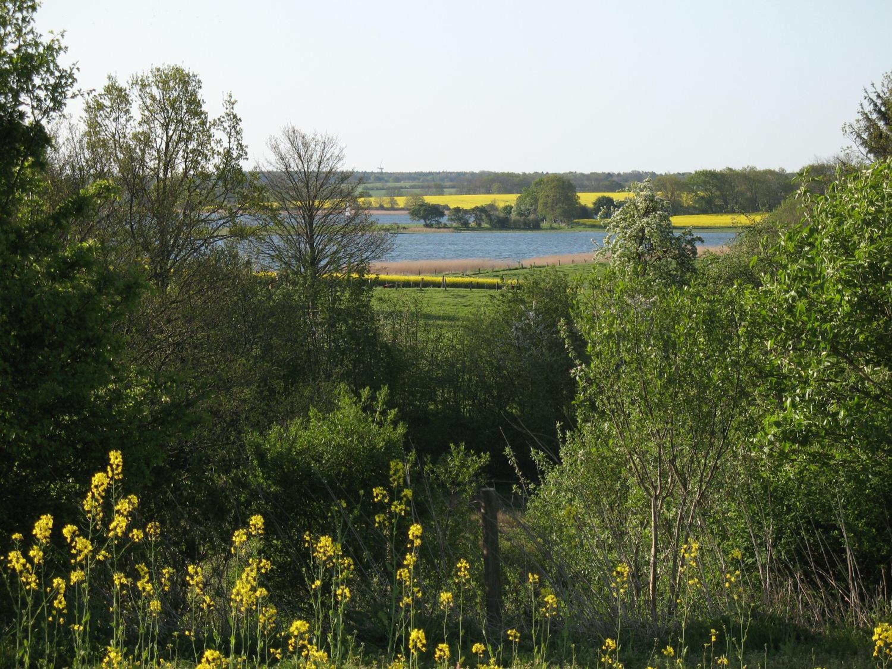 Loftwohnung-hell-geraeumig-antik-zentrale-Lage-in-Suederbrarup