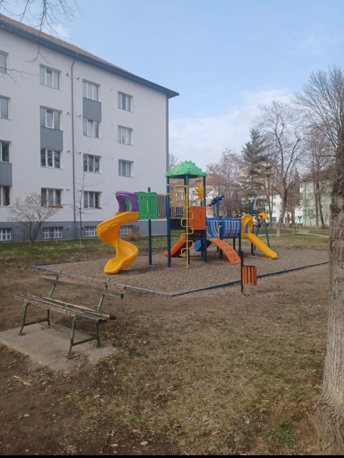Photo 11