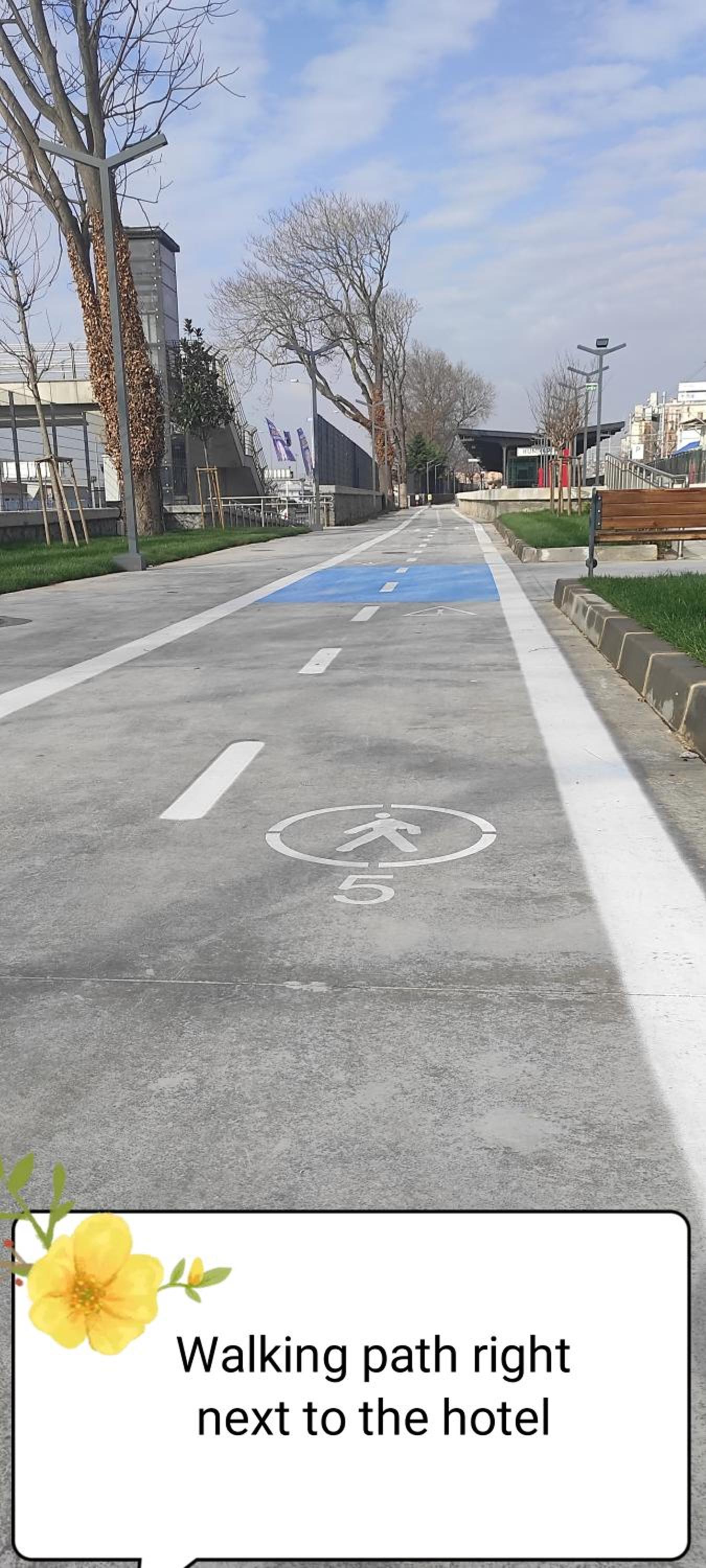 fafsuitehome - Image 41