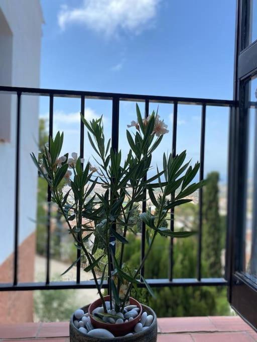 Precioso Apartamento Mandarinos Con vistas al Mar