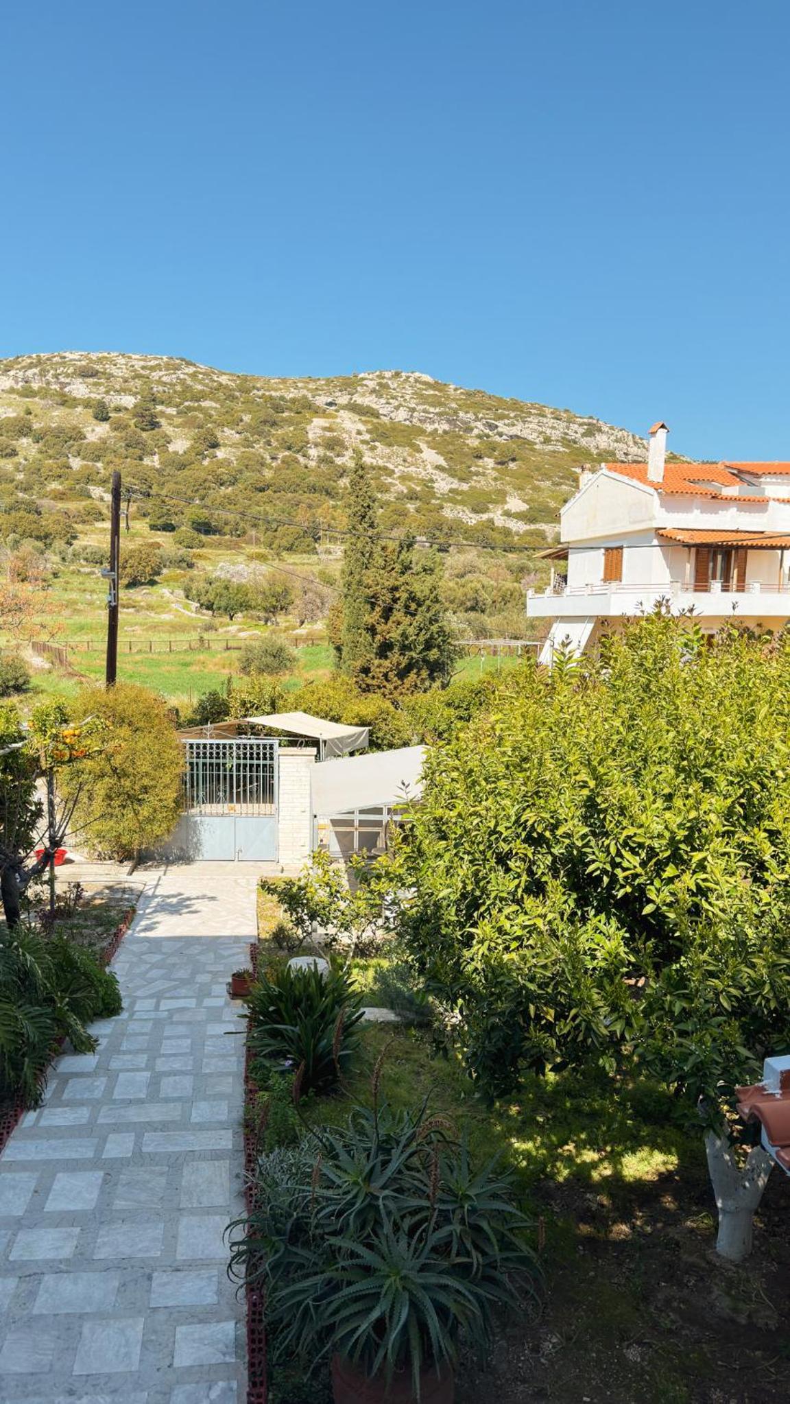 Agora Apartment
