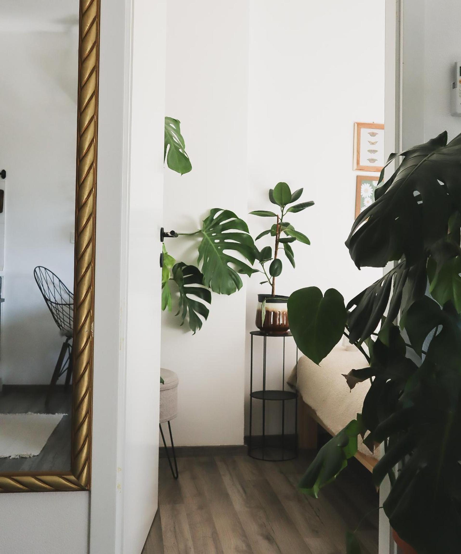 Urban Jungle Apartment 1 - Free Parking view 5