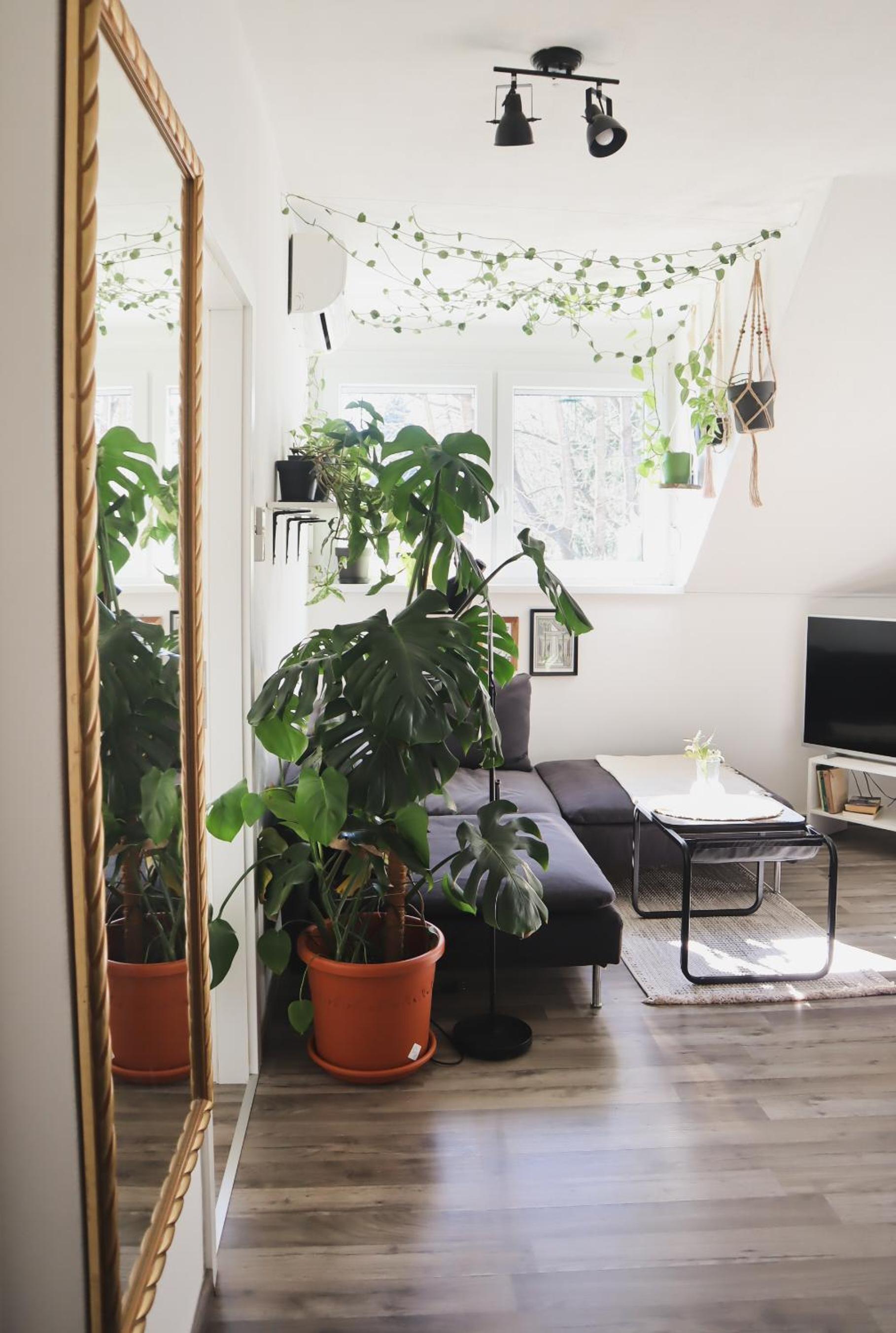 Urban Jungle Apartment 1 - Free Parking view 4