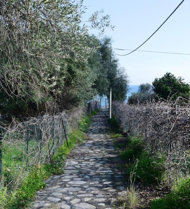 CASAMARINA appartamento frontemare con piscina view 5