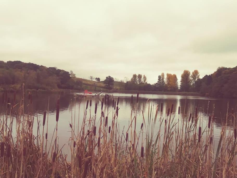 Anne's Lodge Caerberis Holiday Park, dog friendly