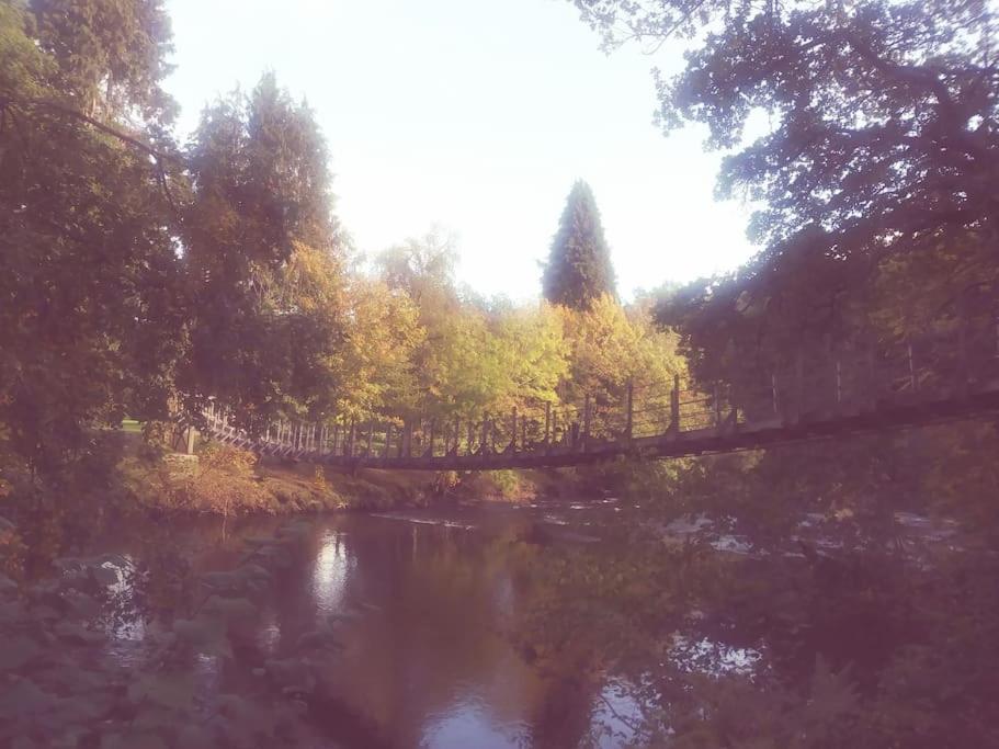 Anne's Lodge Caerberis Holiday Park, dog friendly