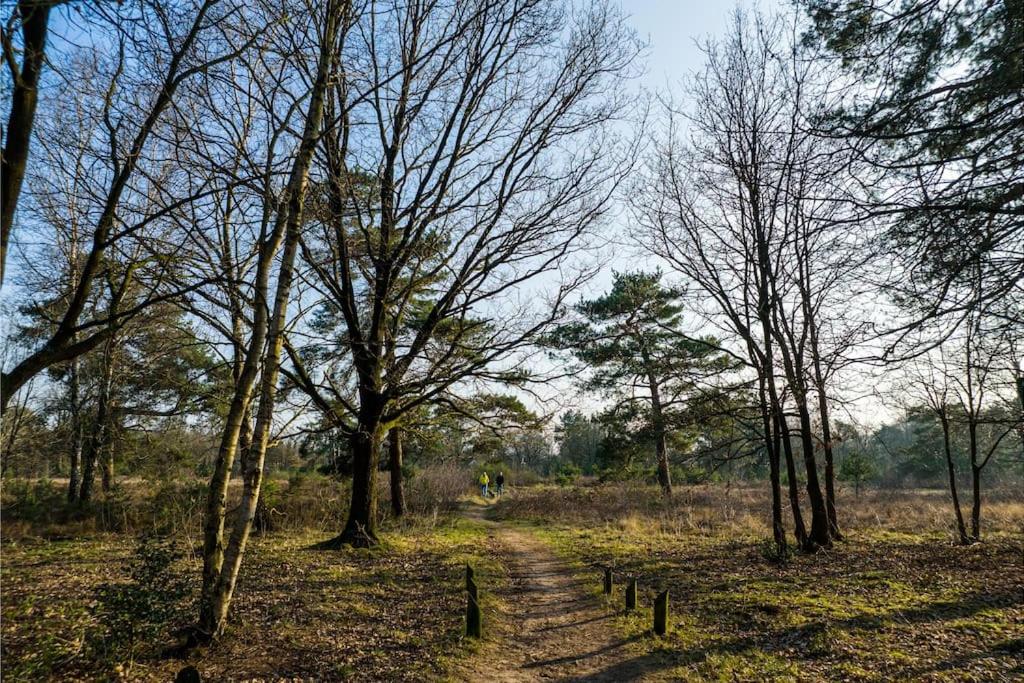 Ruim vakantiehuis met mooie tuin op de Veluwe