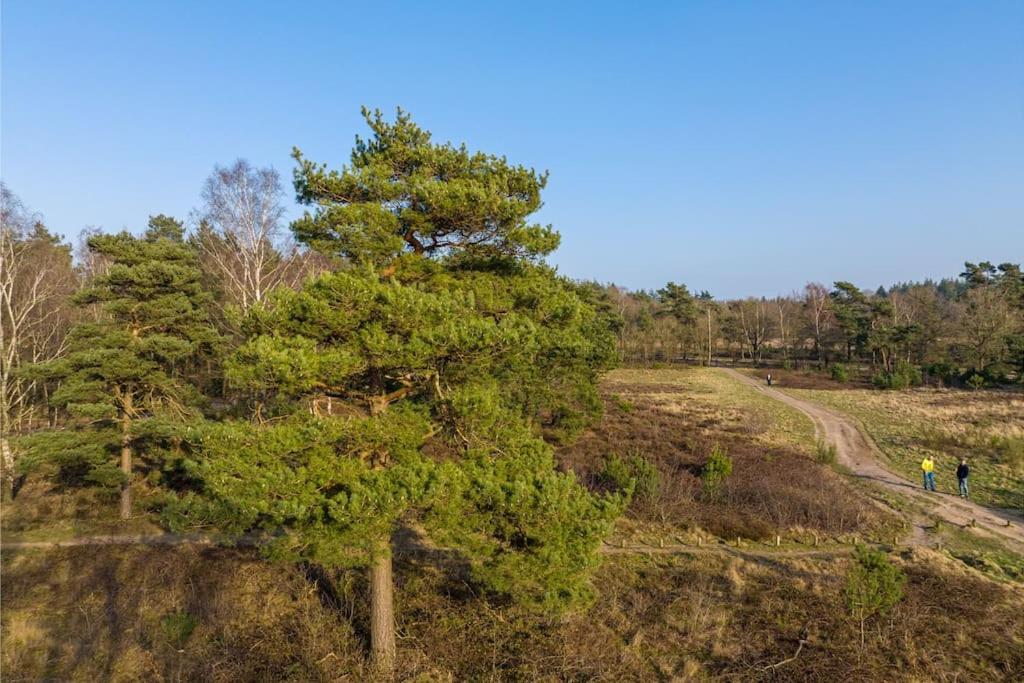 Ruim vakantiehuis met mooie tuin op de Veluwe