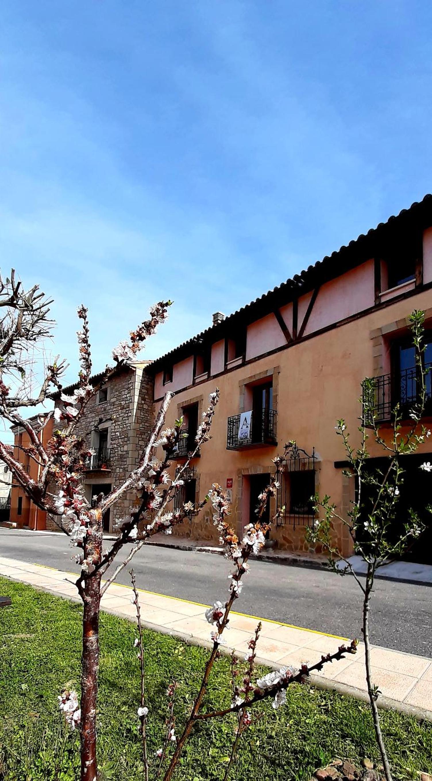 Arévacon
