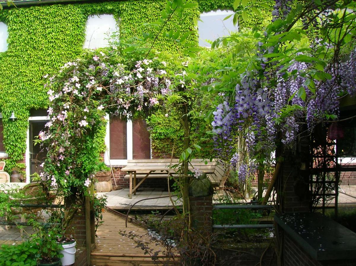 Photo 23