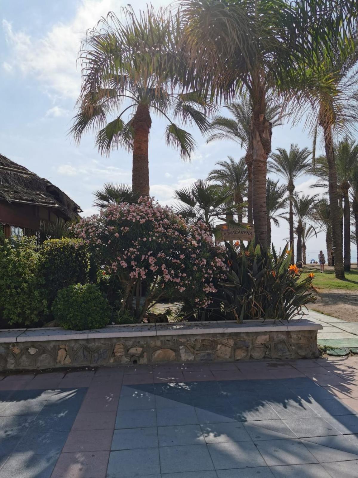Apartamento en el centro de Torremolinos