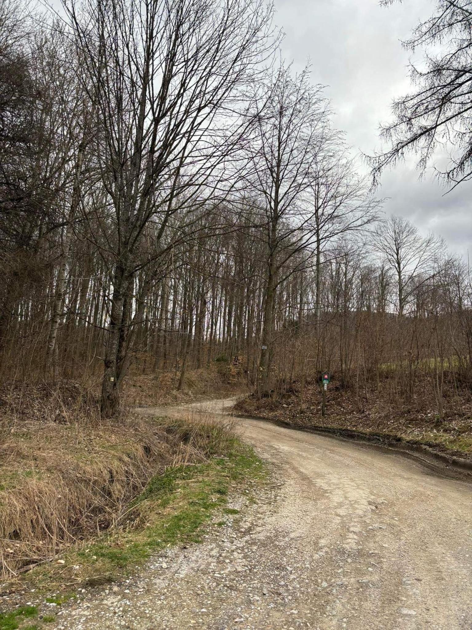 Chata Nemcová - Muránska planina