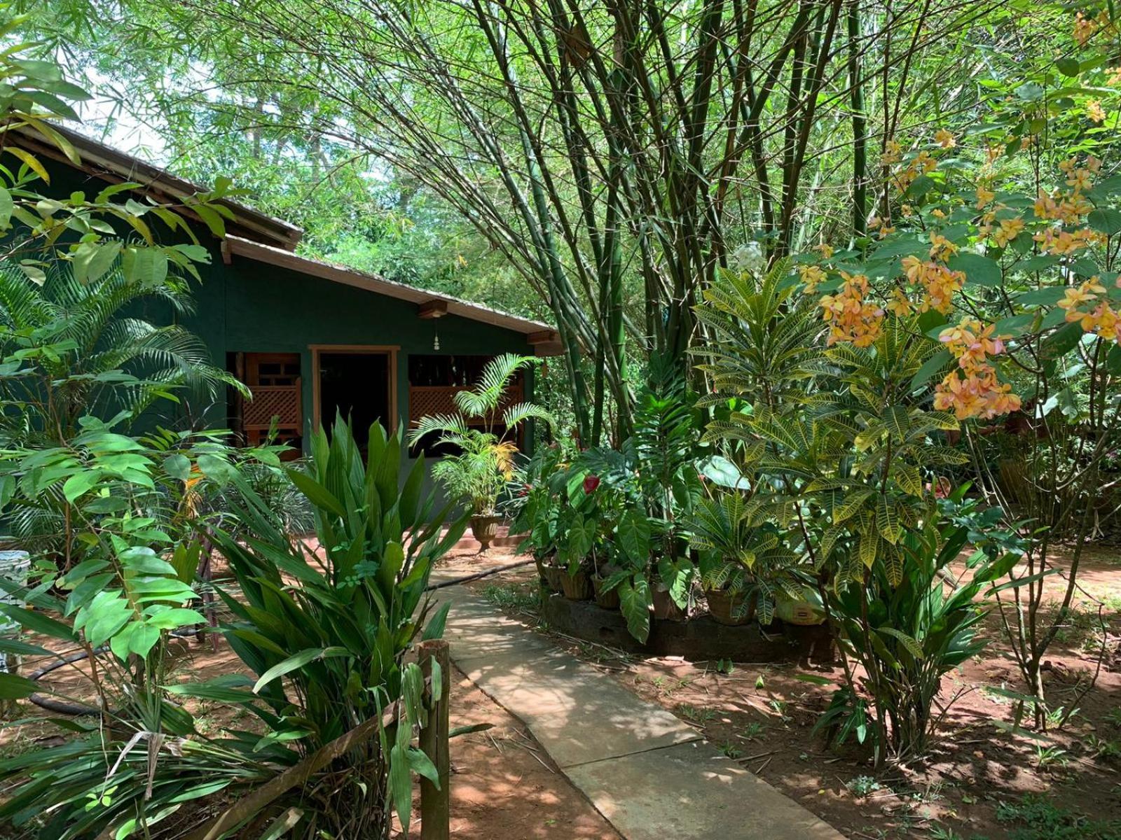 Blue Sapphire Safari Lodge, Udawalawe